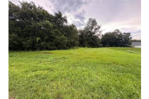 SW 142ND PLACE RD, OCALA, FL 34473 - MLS#MFRO6331022