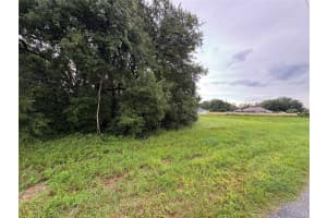 SW 142ND PLACE RD, OCALA, FL 34473 - MLS#MFRO6331022
