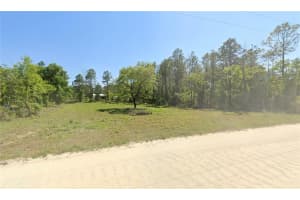 NE 10TH ST, WILLISTON, FL 32696 Sold 10/13/25