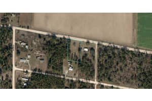 NE 10TH ST, WILLISTON, FL 32696 Sold 10/13/25