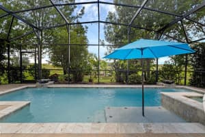 1133 WHITE WATER BAY DRIVE, GROVELAND, FL 34736 - MLS#MFRO6331079