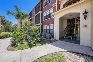 11901 4TH STREET, ST PETERSBURG, FL 33716 - MLS#MFRO6331145