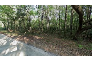 SW 13TH PL, OCALA, FL 34481 - MLS#MFRO6331209
