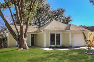 313 REGAL PARK DRIVE, VALRICO, FL 33594 - MLS#MFRO6331288