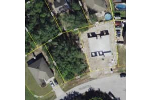 203 KINGFISH WAY, KISSIMMEE, FL 34759 - MLS#MFRO6331289