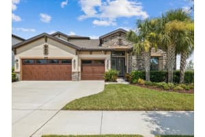 22011 Emory Oak Pl, LAND O LAKES