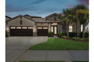 22011 EMORY OAK PLACE, LAND O LAKES, FL 34637 - MLS#MFRO6331392
