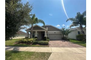 10132 LOVEGRASS LANE, ORLANDO, FL 32832 - MLS#MFRO6331427