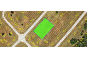 13038 & 13044 GOURAMIS LANE, PLACIDA, FL 33946 - MLS#MFRO6331431