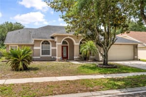 8202 Windsor Ridge Rd, ORLANDO
