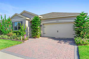 17751 BLAZING STAR CIRCLE, CLERMONT, FL 34714 - MLS#MFRO6331589