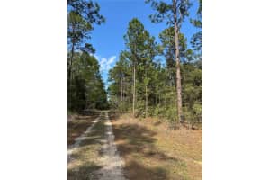 SW 156TH COURT, OCALA, FL 34481 - MLS#MFRO6331601