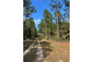SW 156TH COURT, OCALA, FL 34481 - MLS#MFRO6331601