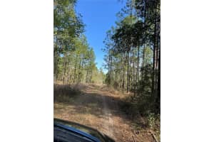 SW 156TH COURT, OCALA, FL 34481 - MLS#MFRO6331601