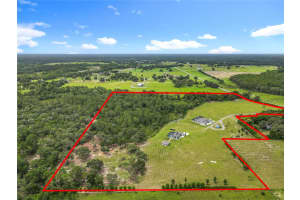 10220 & 10224 BAY LAKE ROAD, GROVELAND, FL 34736 - MLS#MFRO6331633