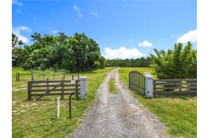 10220 & 10224 BAY LAKE ROAD, GROVELAND, FL 34736 - MLS#MFRO6331633