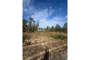 3504 SEAHORSE LANE, DUNNELLON, FL 34433 - MLS#MFRO6331801