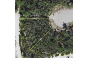 1250 ALAFIA WAY, KISSIMMEE, FL 34759 - MLS#MFRO6331895