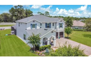 699 PRIMROSE WILLOW WAY, APOPKA, FL 32712 - MLS#MFRO6331933