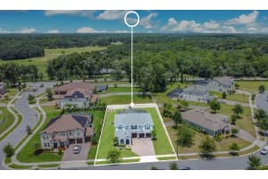 699 PRIMROSE WILLOW WAY, APOPKA, FL 32712 - MLS#MFRO6331933
