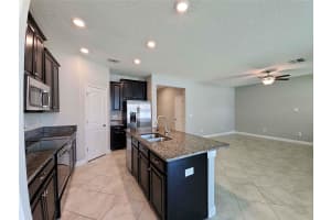 13246 SATIN LILY DRIVE, RIVERVIEW, FL 33579 - MLS#MFRO6331969