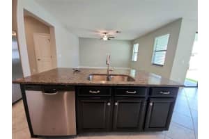 13246 SATIN LILY DRIVE, RIVERVIEW, FL 33579 - MLS#MFRO6331969