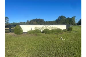GREENGROVE BLVD #LOT26, CLERMONT, FL 34714 - MLS#MFRO6332034