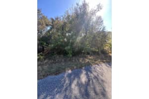 0 RABBITT AVENUE, NORTH PORT, FL 34291 Sold 11/26/25