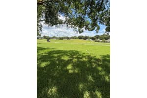 3004 ANDOVER COURT, MOUNT DORA, FL 32757 - MLS#MFRO6332220
