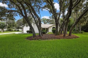 295 KELLER COURT, HERNANDO, FL 34442 - MLS#MFRO6332248