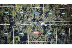 326 CASPIAN TERN AVENUE, SEBRING, FL 33870 Sold 09/14/25