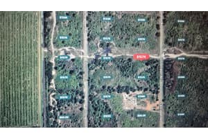 1364 DAVIDSON ROAD, AVON PARK, FL 33825 Sold 09/05/25