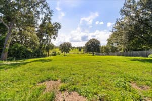 3206 PLYMOUTH SORRENTO ROAD, APOPKA, FL 32712 - MLS#MFRO6332418