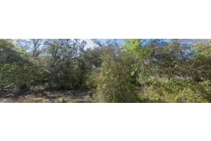 0 LAKE DRIVE, EUSTIS, FL 32736 - MLS#MFRO6332617