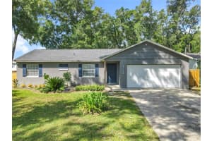30931 Lochmore Cir, SORRENTO