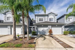 18118 Nassau Point Dr, TAMPA