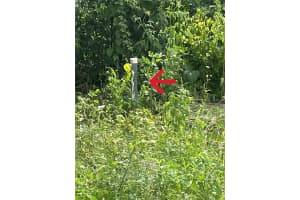 9315 KISSIMMEE STREET, NEW PORT RICHEY, FL 34654 - MLS#MFRO6332750