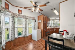 16613 96TH AVENUE, SUMMERFIELD, FL 34491 - MLS#MFRO6332761