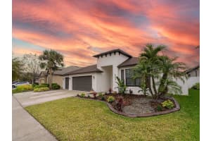 8503 WHITE POPLAR DRIVE, RIVERVIEW, FL 33578 - MLS#MFRO6332780