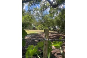 25 MCKINLEY AVENUE, ORLANDO, FL 32811 - MLS#MFRO6333000