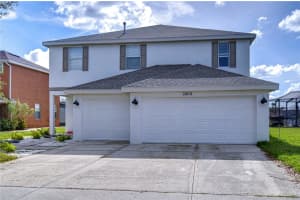 20131 Nob Oak Ave, TAMPA
