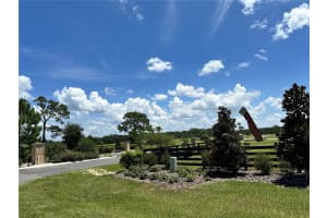 38796 RANCH GATE BLVD, UMATILLA, FL 32784 - MLS#MFRO6333144