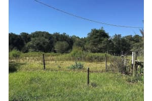 7275 KNOWLES ROAD, POLK CITY, FL 33868 - MLS#MFRO6333175