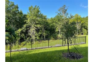 16447 BIRD OF PARADISE AVENUE, CLERMONT, FL 34714 - MLS#MFRO6333210