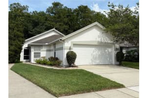 11647 PEACH GROVE LANE, ORLANDO, FL 32821 - MLS#MFRO6333304