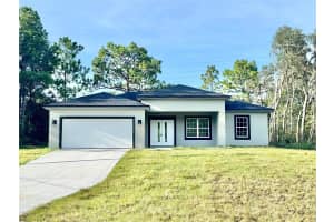 2520 RILEY DRIVE, DUNNELLON, FL 34434 - MLS#MFRO6333314
