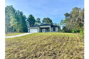 2520 RILEY DRIVE, DUNNELLON, FL 34434 - MLS#MFRO6333314