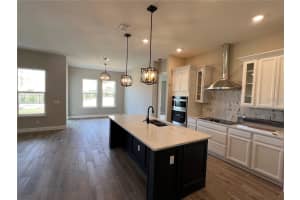 16295 SILVER GROVE BOULEVARD, WINTER GARDEN, FL 34787 - MLS#MFRO6333423