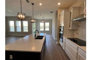 16295 SILVER GROVE BOULEVARD, WINTER GARDEN, FL 34787 - MLS#MFRO6333423
