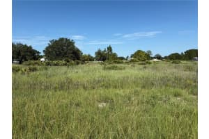 600 DICKEY ROAD, AVON PARK, FL 33825 - MLS#MFRO6333492